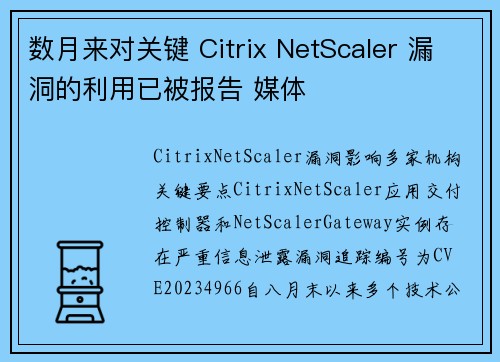 数月来对关键 Citrix NetScaler 漏洞的利用已被报告 媒体