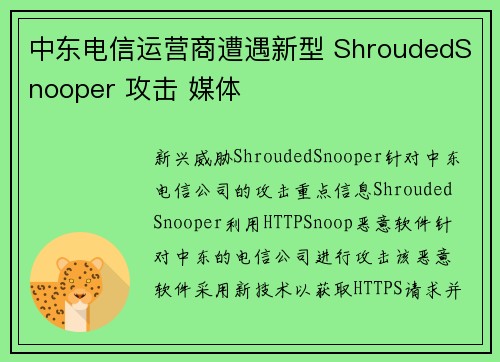 中东电信运营商遭遇新型 ShroudedSnooper 攻击 媒体