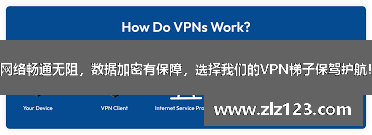 网络畅通无阻，数据加密有保障，选择我们的VPN梯子保驾护航！